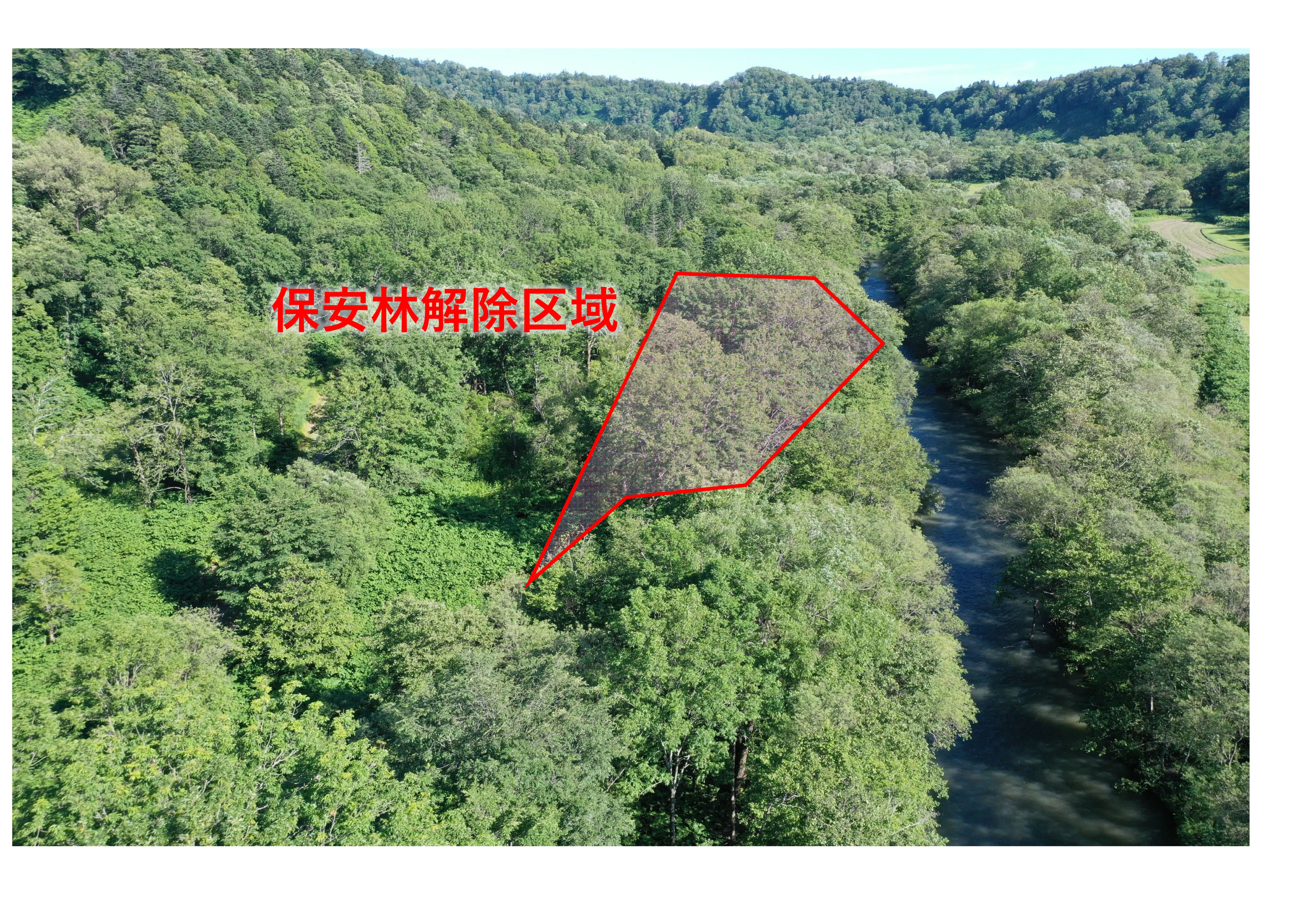 保安林解除申請